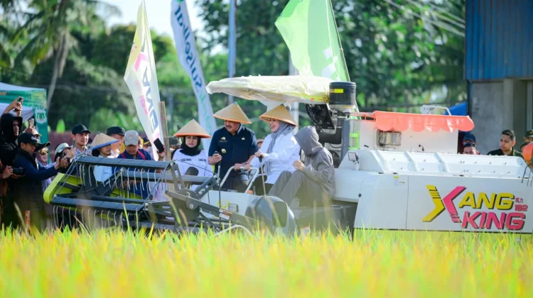 Panen Raya Pinrang Capai 6,8 Ton, Perkuat Peran Sulsel sebagai Lumbung Pangan