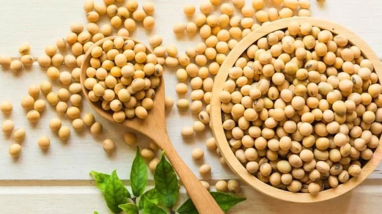 Pengamat Ekonomi: Pemerintah Harus Berani Beri Subsidi Petani Kedelai