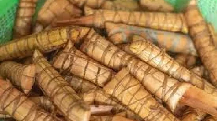 Lappa-Lappa, Sajian Khas di Hari Raya Masyarakat Sulsel