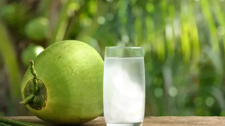 Khasiat Kasumba Terate dan Air Kelapa dalam Pengobatan Sarampa