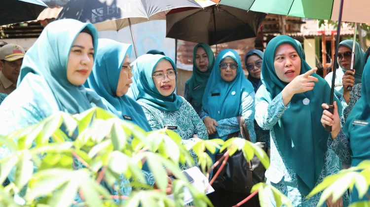 Bekali Kader Kelola Pekarangan Produktif, TP PKK Makassar Gelar Bimtek Aku Hatinya