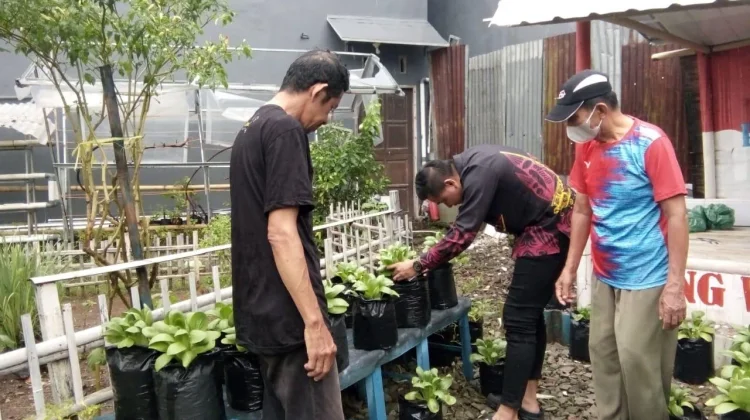 Kelompok Tani Kelurahan Bulurokeng Merasa Terbantu  Adanya Urban Farming