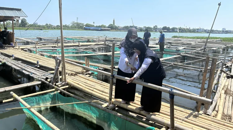 BPBAP Takalar Perkuat Kelompok Budidaya Ikan Mapan