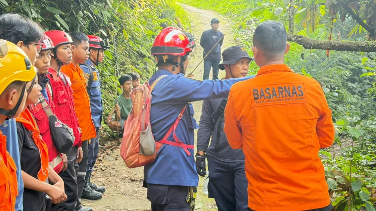 Perempuan 51 Tahun Hilang di Hutan Palopo