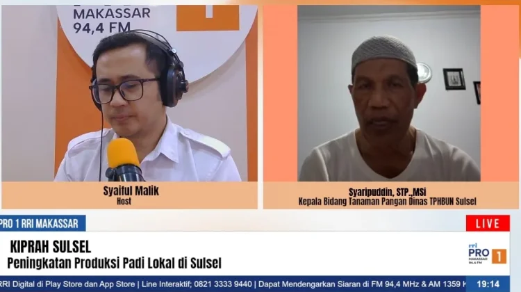 Strategi Air Jadi Kunci Produksi Padi Melimpah
