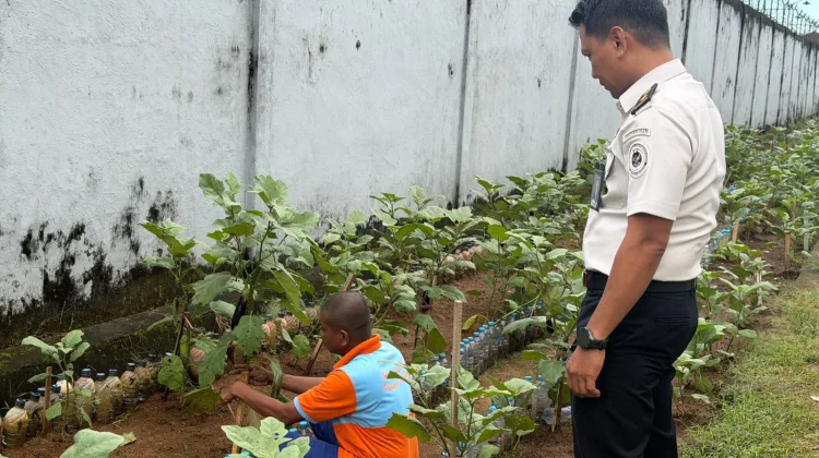 Sebanyak 100 Karung Pupuk Dukung Pengembangan Perkebunan Lapas