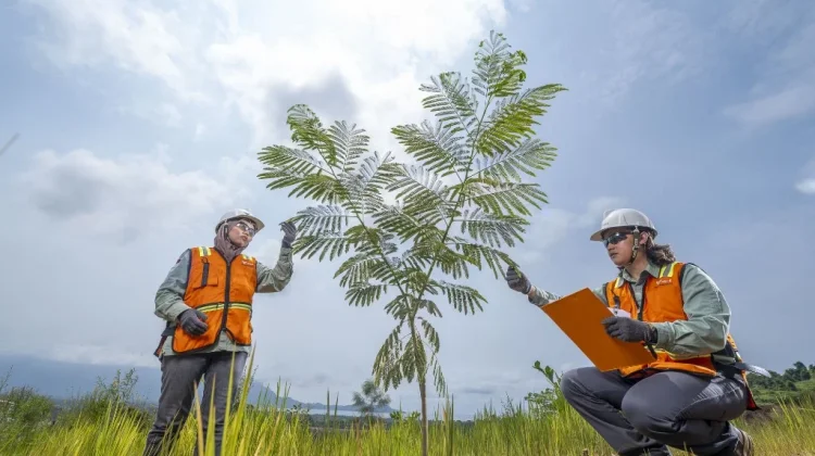 Vale Catat Kinerja Solid Triwulan Pertama