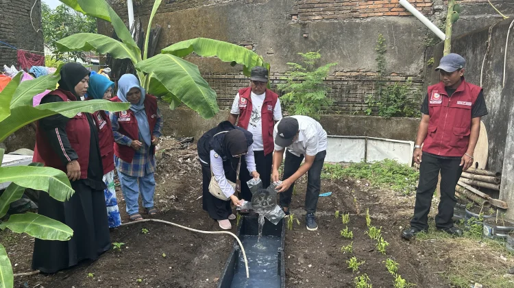 KKP Dukung Budikdamber di Kebun Aku Hatinya PKK