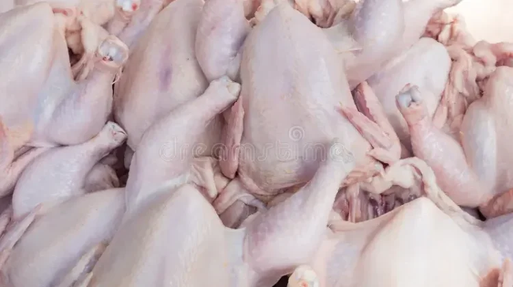 Daging Ayam Tetap Jadi Pilihan Utama Protein Berkualitas bagi Masyarakat
