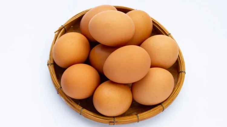 Konsumsi Telur Jadi Pilihan Utama untuk Tingkatkan Produktivitas