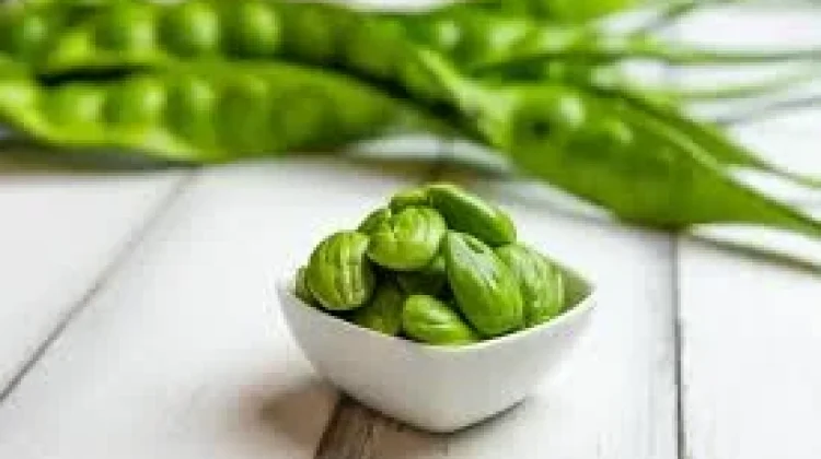 Petai, Bahan Makanan Khas Indonesia yang Kaya Manfaat