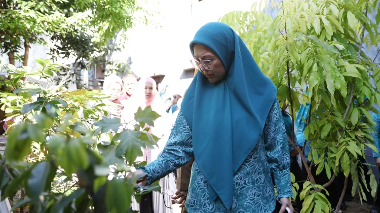 Melinda Tinjau Kebun Aku Hatinya PKK di Ujung Pandang, Dorong Kemandirian Pangan