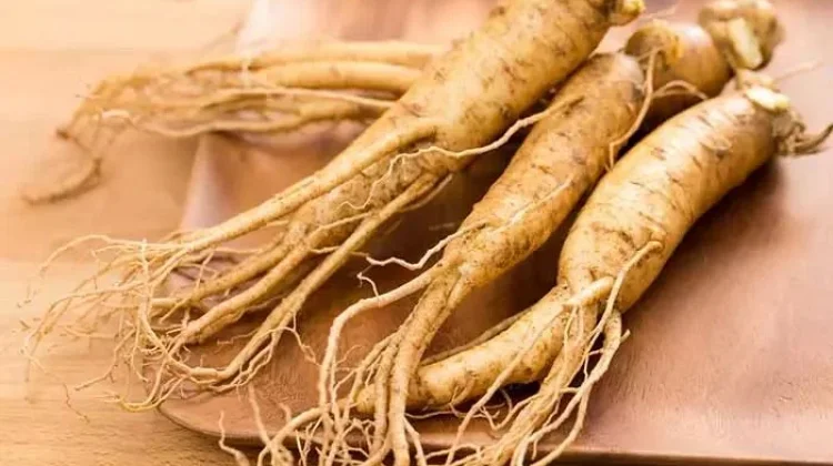 Manfaat Shampo Ginseng untuk Kesehatan Rambut