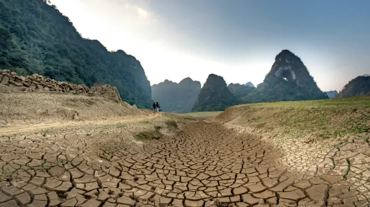 Perbedaan Musim Kemarau dan Fenomena El Nino