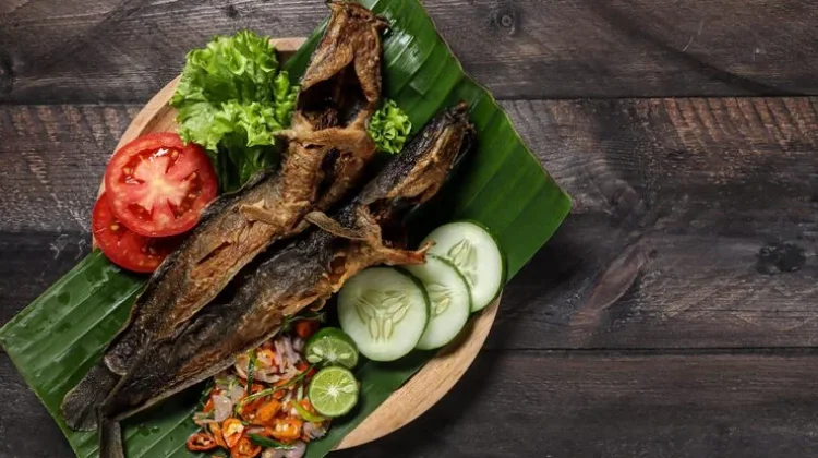 Manfaat dan Risiko Konsumsi Ikan Lele Bagi Kesehatan
