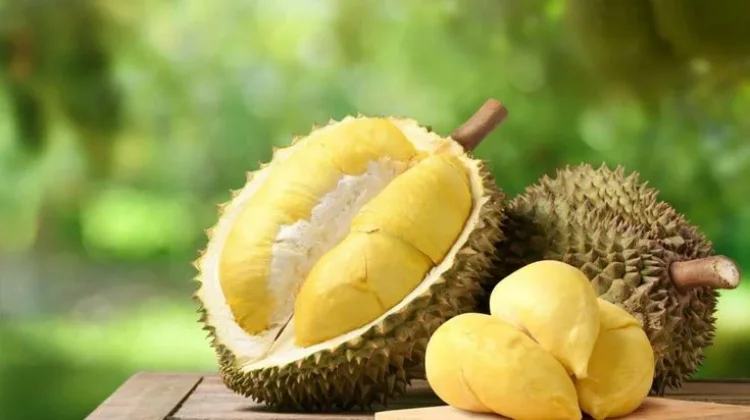 Penderita Maag Perlu Waspadai Waktu Konsumsi Durian