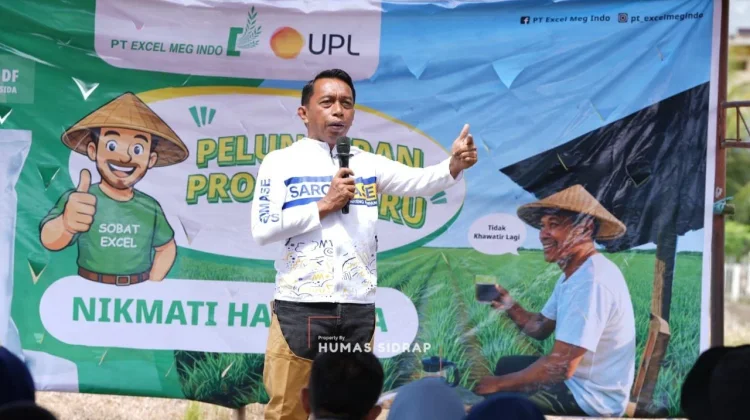Sidrap Targetkan Produktivitas Padi 10 Ton Per Hektare