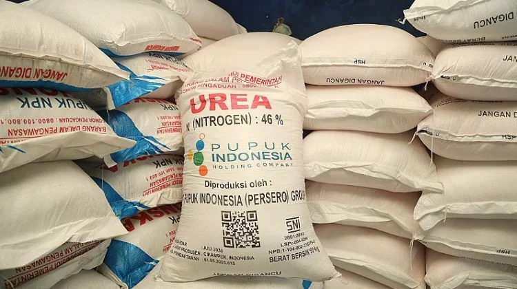 Pupuk Indonesia Bekukan Pengecer Bermasalah di Bone