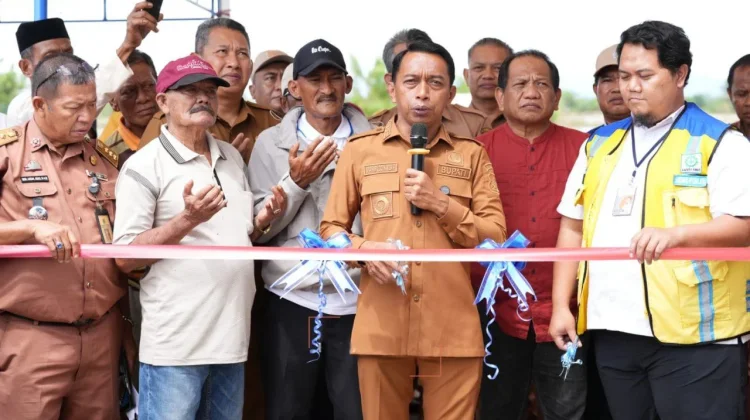 JIAT Dorong Produktivitas Sawah Tadah Hujan Sidrap