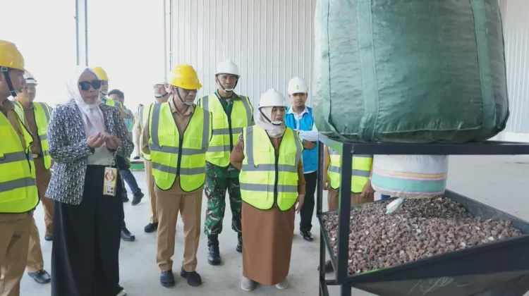 Tinjau Pabrik Pengolahan Porang, Bupati Sinjai Minta Berdayakan Masyarakat Lokal