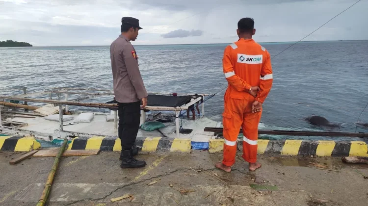 Cuaca Ekstrem, Kapal Muat 17 Ekor Sapi dan 1.000 Tabung Gas Tenggelam