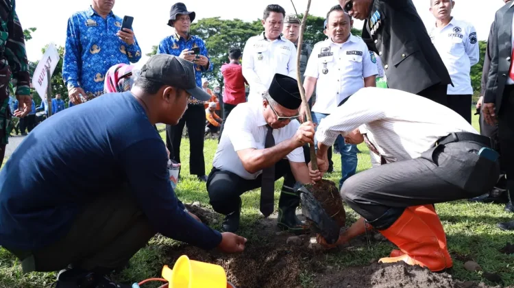 Gerakan Tanam Pohon, Warnai Peringatan Harkitnas di Bulukumba