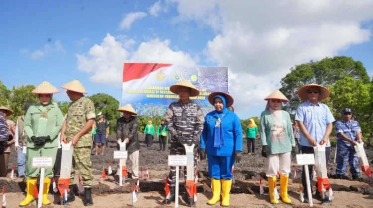 Kodaeral VI dan Pemkab Selayar Tanam Kedelai, Perkuat Ketahanan Pangan Nasional