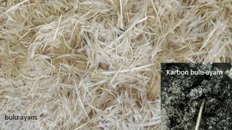 Limbah Bulu Ayam Kini Bernilai Ekonomi