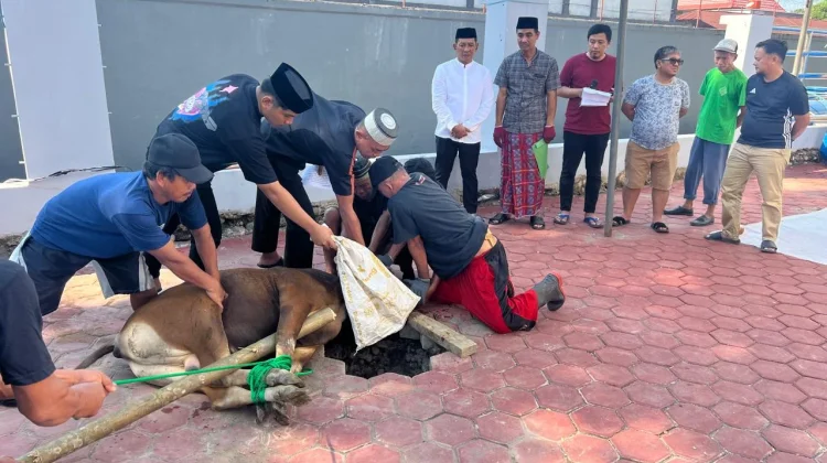 Idul Adha 1447 H, Kemenkum Sulsel Sembelih Enam Ekor Sapi