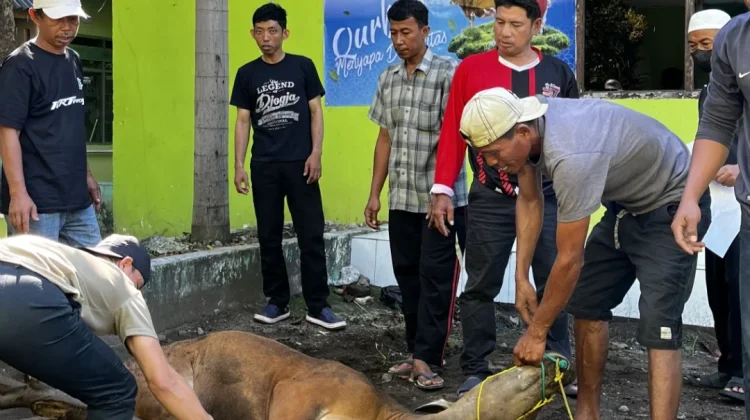 Kurban Menyapa Disabilitas, Gammara Inklusi Hadirkan Kebahagiaan untuk Semua