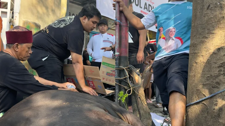 PSI Sulsel Tebar Kepedulian di Hari Raya Kurban