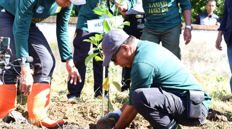 Peringati Hari Lingkungan Hidup Sedunia, Pemkab Bulukumba Gelar Penanaman Pohon