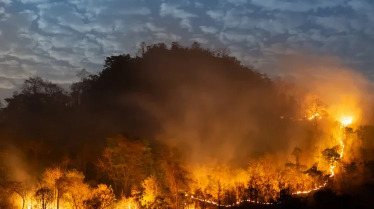 Hadapi Kemarau Ekstrem, Kab. Pinrang Tetapkan Status Siaga
