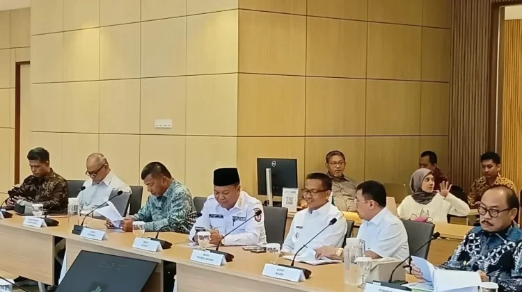 Temui Wamenkes, Bupati Bulukumba Paparkan Usulan lnfrastruktur Kesehatan Primer