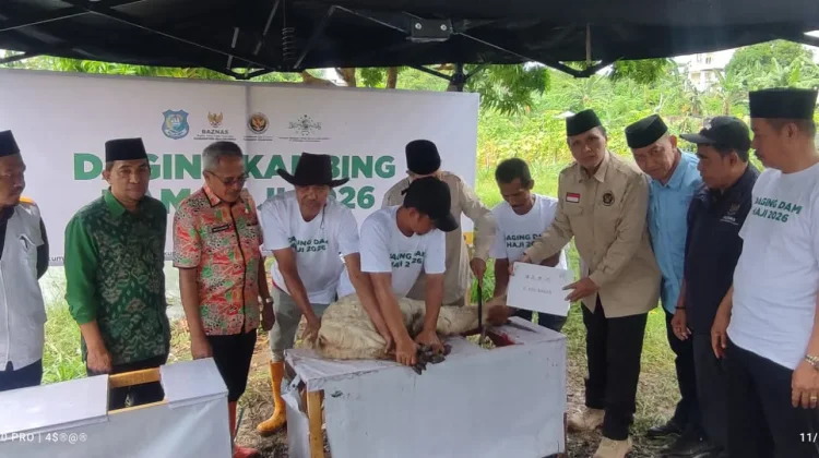 BAZNAS  Bulukumba Lakukan Penyembelian Hewan DAM Jamaah Haji
