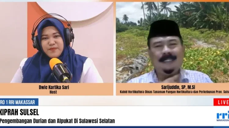 Kembangkan Potensi Hortikultura, Pemprov Sulsel Salurkan Bibit Bersertifikasi