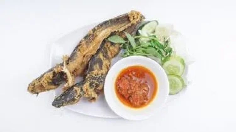 Kandungan Nutrisi dan Risiko Polutan Ikan Lele