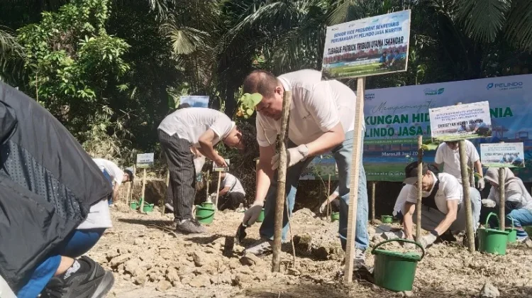Pelindo Jasa Maritim Tanam 2.500 Pohon di Maros