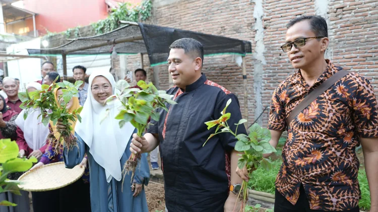 Wali Kota dan Ketua TP PKK Panen Urban Farming Bersama Warga Tallo