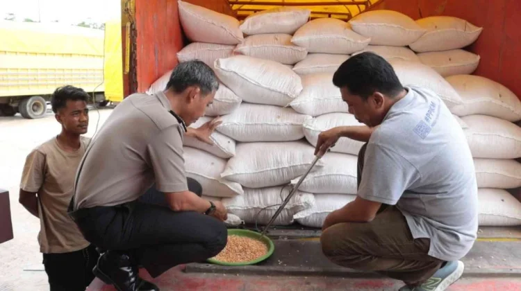 Polda Sulsel Terus Memastikan Harga Jagung Petani Stabil
