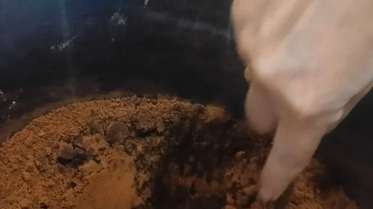 Aroma Kopi Toraja Semerbak di Pasar Rantepao, Bisa Diracik Sesuai Selera