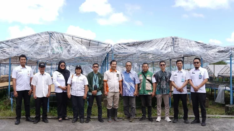 Penguatan MPIG Jadi Fokus Evaluasi Kopi Toraja