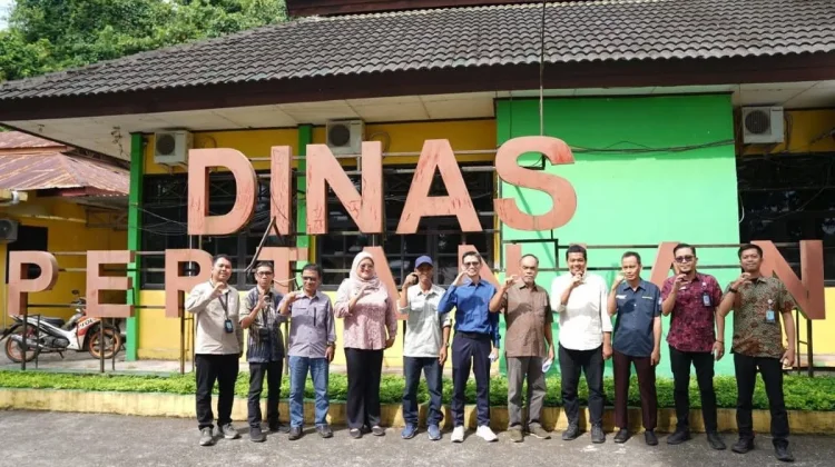 DJKI Lanjutkan Monitoring dan Evaluasi Indikasi Geografis Kopi Arabika Enrekang