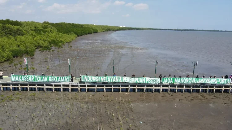 Warga Lantebung Tolak Reklamasi Lewat Penanaman Seribu Mangrove
