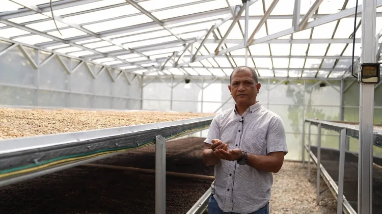 Indikasi Geografis Angkat Nilai Kopi Enrekang