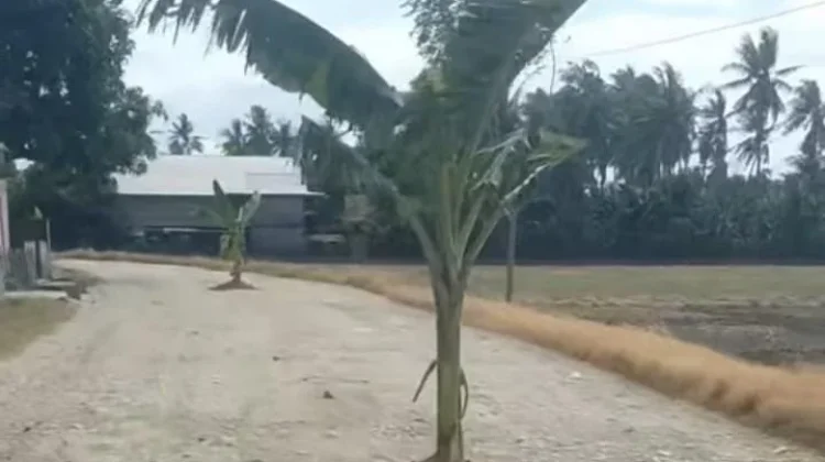 Respon Tuntutan Warga Belawa, Wakil Ketua DPRD Sulsel Janji Perbaiki Jalan