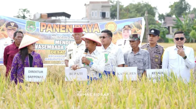 Bappenas Apresiasi Kemajuan Pertanian, Panen Raya Bukti Kemajuan Sidrap