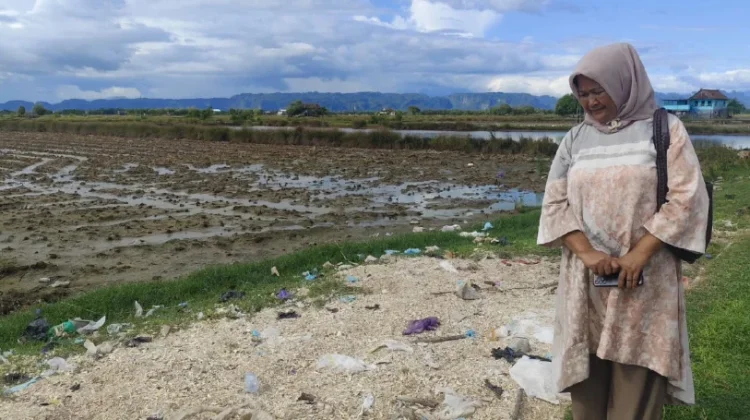 Limbah Cangkang Kepiting di Maros Berpotensi Jadi Pakan Ternak dan Sumber Kalsium