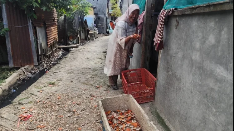 Limbah Cangkang Kepiting di Maros Berpotensi Jadi Pakan Ternak dan Sumber Kalsium