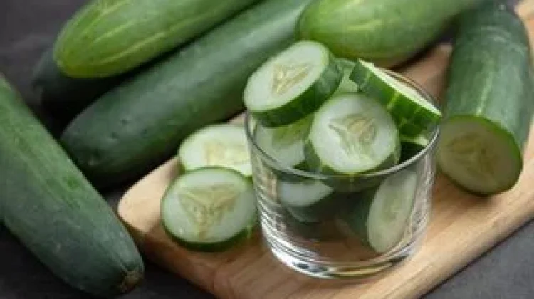 Tiga Makanan Alami untuk Meningkatkan Fungsi Ginjal
